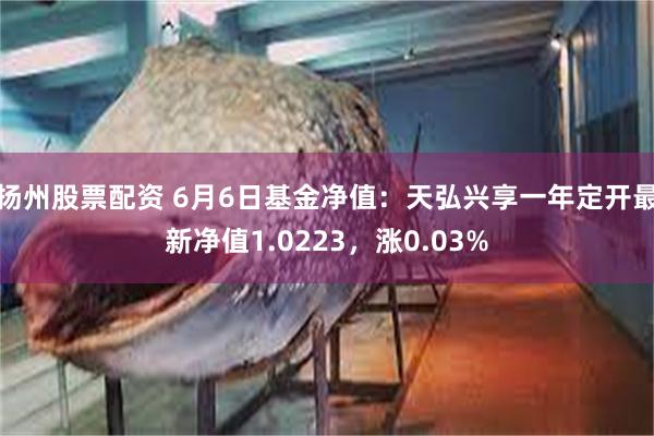 扬州股票配资 6月6日基金净值：天弘兴享一年定开最新净值1.0223，涨0.03%