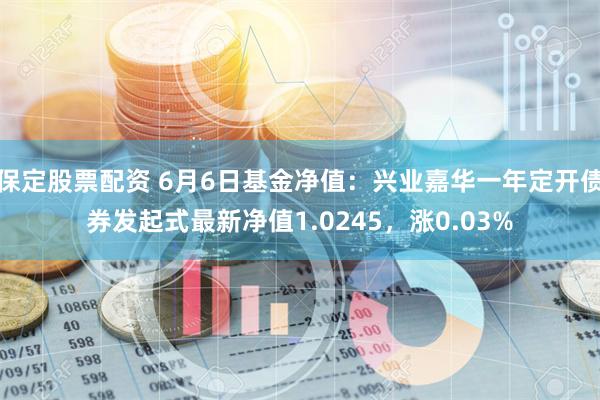 保定股票配资 6月6日基金净值：兴业嘉华一年定开债券发起