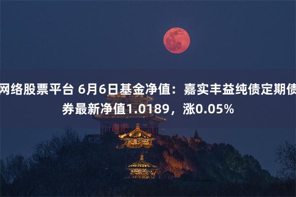 网络股票平台 6月6日基金净值：嘉实丰益纯债定期债券最新净值1.0189，涨0.05%