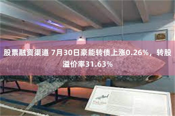 股票融资渠道 7月30日豪能转债上涨0.26%，转股溢价率31.63%