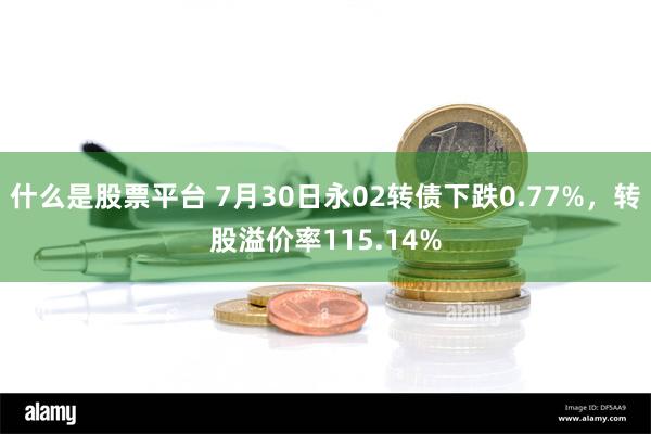 什么是股票平台 7月30日永02转债下跌0.77%，转股