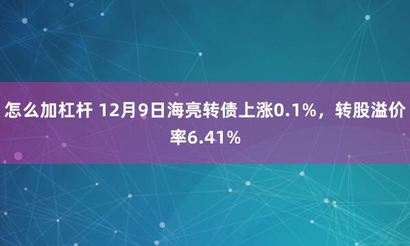 怎么加杠杆 12月9日海亮转债上涨0.1%，转股溢价率6.41%