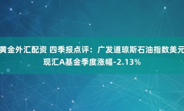 黄金外汇配资 四季报点评：广发道琼斯石油指数美元现汇A基金季度涨幅-2.13%