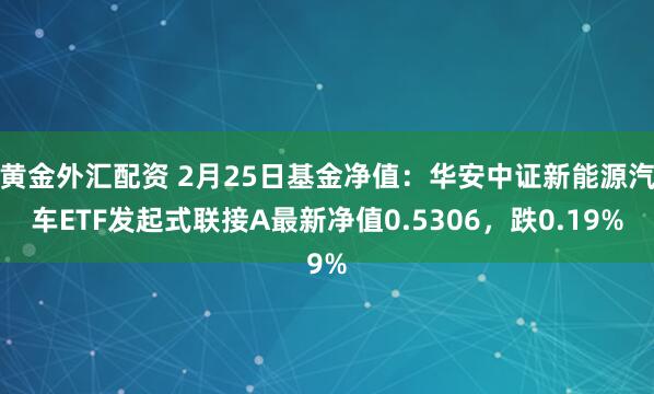 黄金外汇配资 2月25日基金净值：华安中证新能源汽车ETF发起式联接A最新净值0.5306，跌0.19%